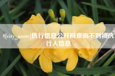 新沂执行信息公开网查询不到被执行人信息