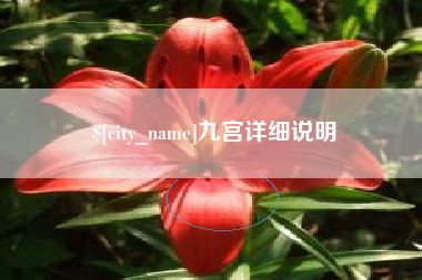 新沂九宫详细说明