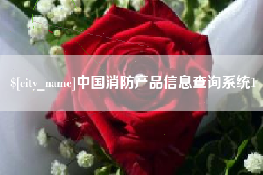 新沂中国消防产品信息查询系统1