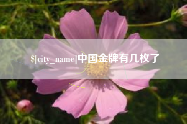 新沂中国金牌有几枚了