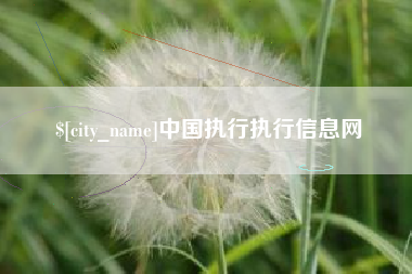 新沂中国执行执行信息网