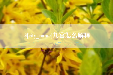 新沂九宫怎么解释