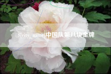 新沂中国队第八块金牌