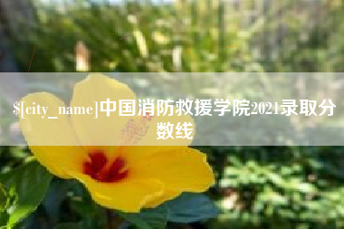 新沂中国消防救援学院2021录取分数线