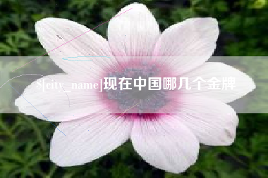 新沂现在中国哪几个金牌