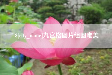 新沂九宫格图片组图唯美