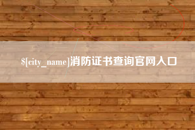 新沂消防证书查询官网入口