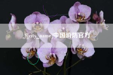 新沂中国消防官方