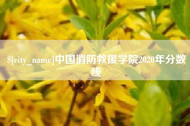 新沂中国消防救援学院2020年分数线