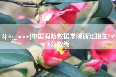 新沂中国消防救援学院浙江招生2020分数线