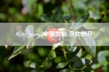 新沂中国地图(含比例尺)