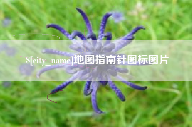 新沂地图指南针图标图片
