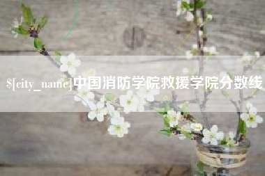 新沂中国消防学院救援学院分数线
