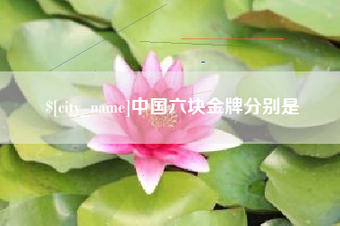 新沂中国六块金牌分别是