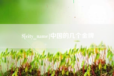 新沂中国的几个金牌