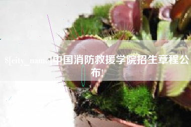新沂中国消防救援学院招生章程公布!