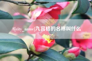 新沂九宫格的名称叫什么