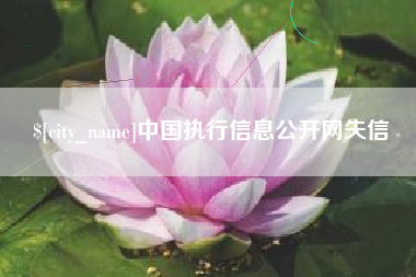新沂中国执行信息公开网失信