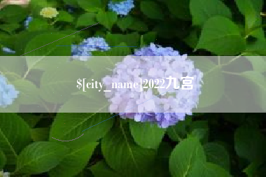 新沂2022九宫