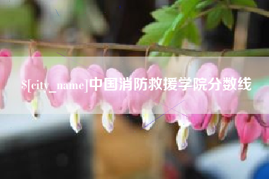 新沂中国消防救援学院分数线