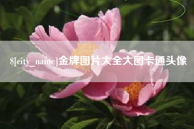 新沂金牌图片大全大图卡通头像