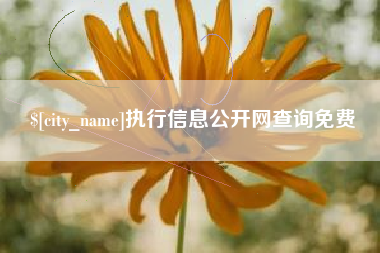 新沂执行信息公开网查询免费