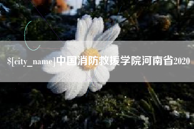 新沂中国消防救援学院河南省2020